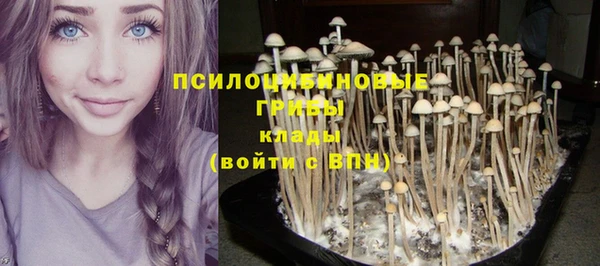 крисы Балахна