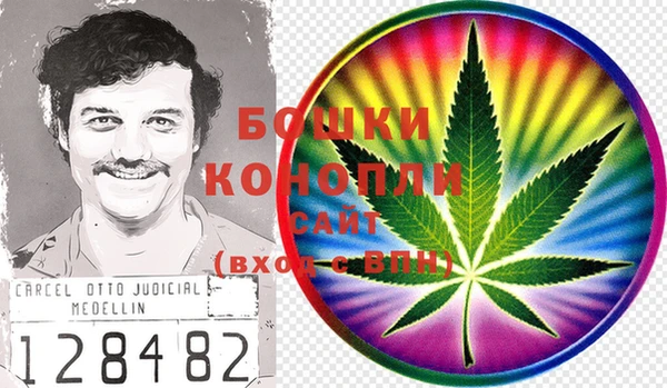 spice Рославль